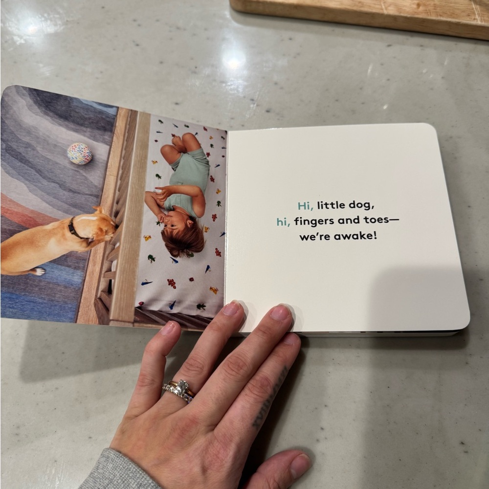 Lovevery Book - My First Words - Picture 4 of 15